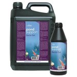Pond support